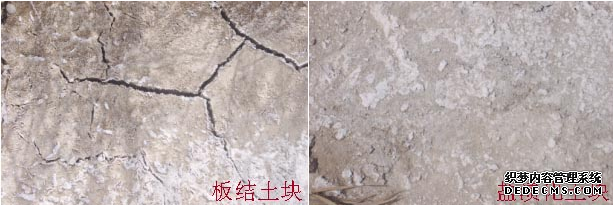 【关注】农业部为什么大力推广有机肥：有机肥的长期不足、缺失破坏了土壤结构